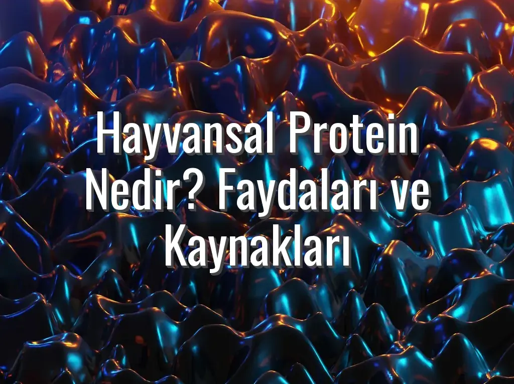 Hayvansal Protein Nedir? Faydaları ve Kaynakları