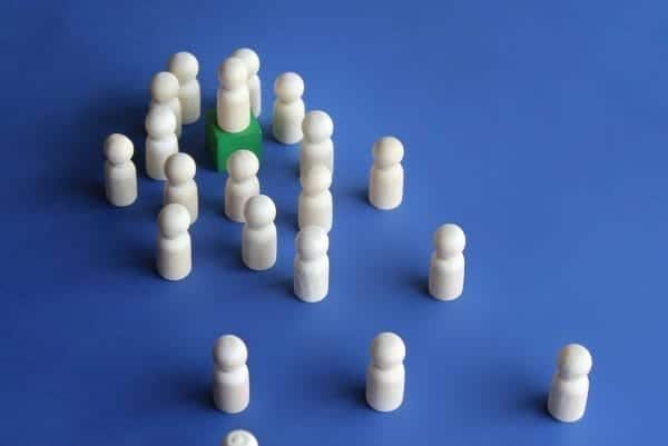 Leadership Roles