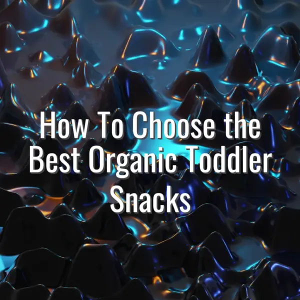How To Choose the Best Organic Toddler Snacks - best organic toddler snacks