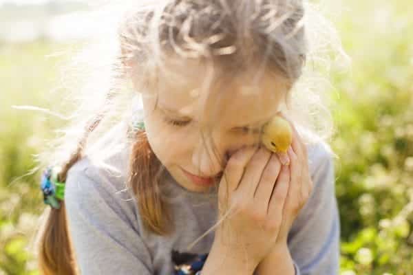 custody mediation in primary physical custody disputes
