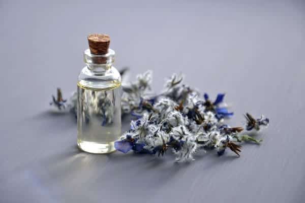 Essential Oils: Exploring the Power of Nature 1 Essential Oils