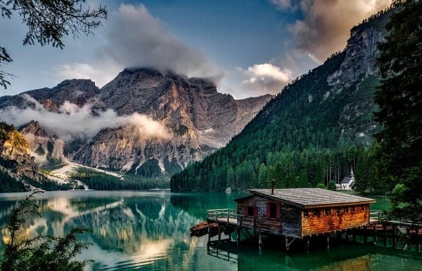 Love of Nature