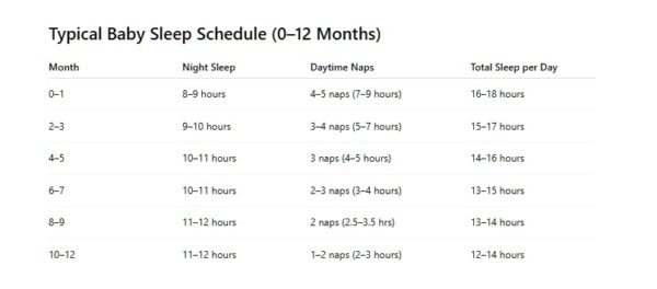 Typical Baby Sleep Schedule (0–12 Months)