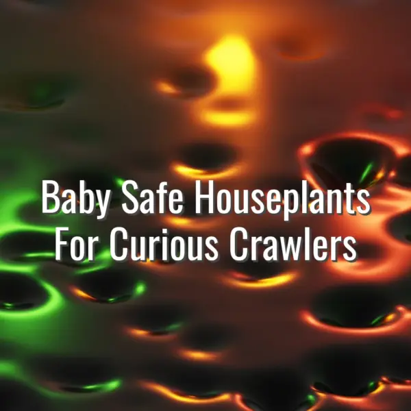 Baby Safe Houseplants For Curious Crawlers - baby safe houseplants
