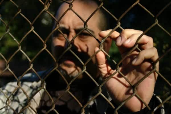 The causes of separation anxiety