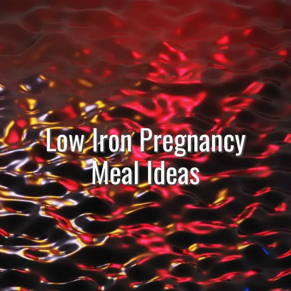 Low Iron Pregnancy Meal Ideas - low iron pregnancy meal ideas