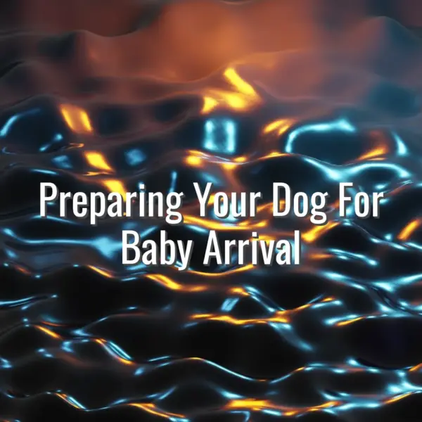 Preparing Your Dog For Baby Arrival - prepare dog for baby arrival