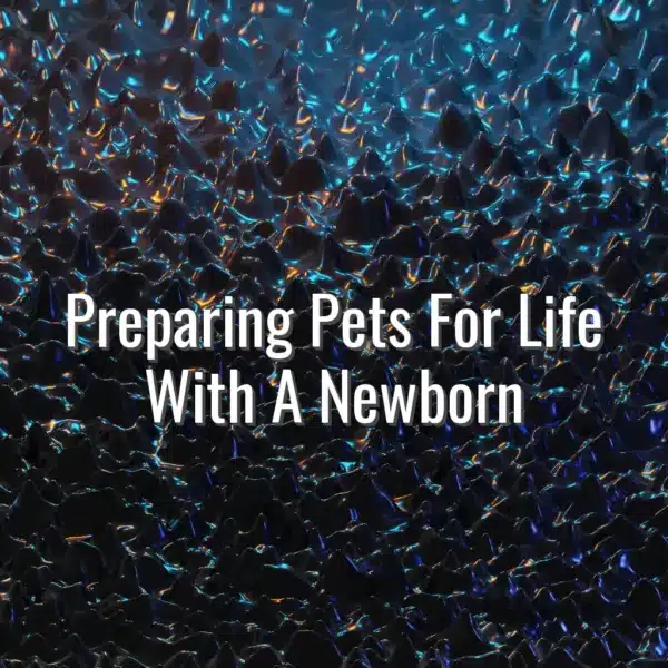 Preparing Pets For Life With A Newborn - introduce dog to newborn