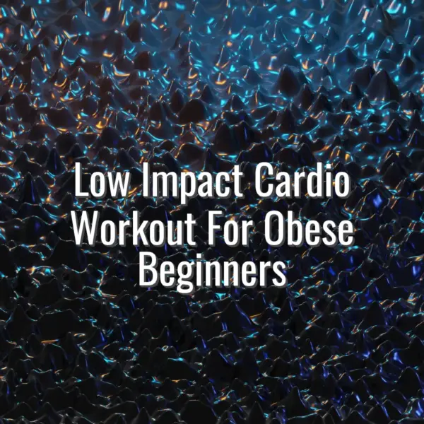 Low Impact Cardio Workout For Obese Beginners - low impact cardio workout for obese beginners