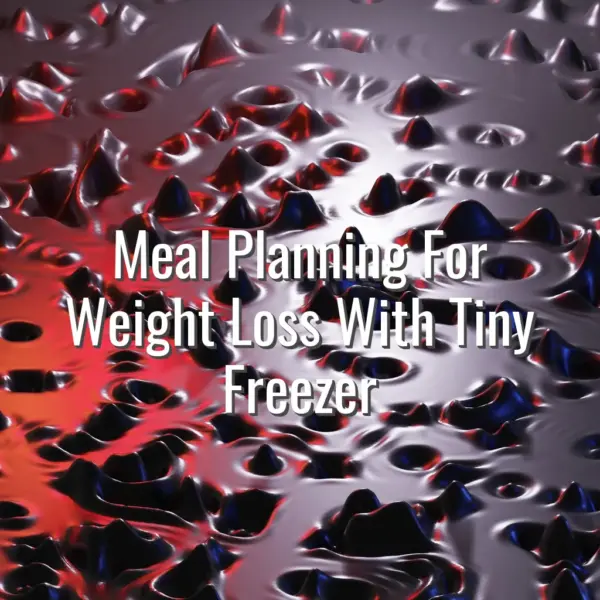 Meal Planning For Weight Loss With Tiny Freezer - meal planning with small freezer