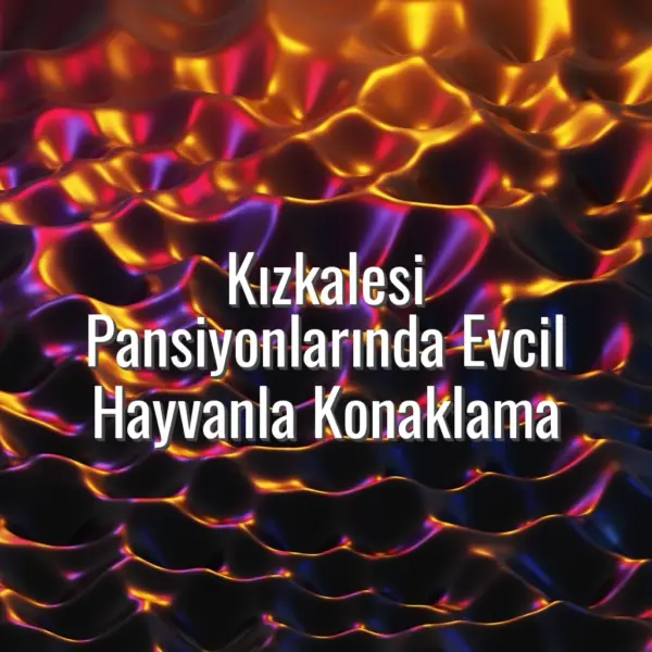 Kızkalesi Pansiyonlarında Evcil Hayvanla Konaklama - kızkalesi pansiyonlarında evcil hayvan