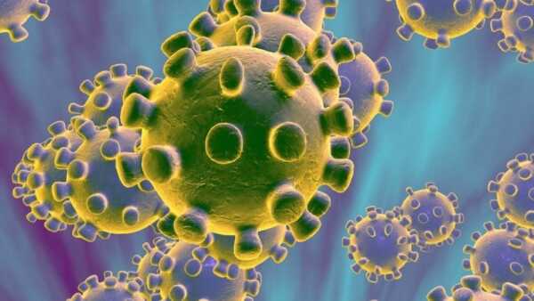 Korona virus çözümü, korona virus kesin çözümü