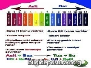 asit - alkaliler