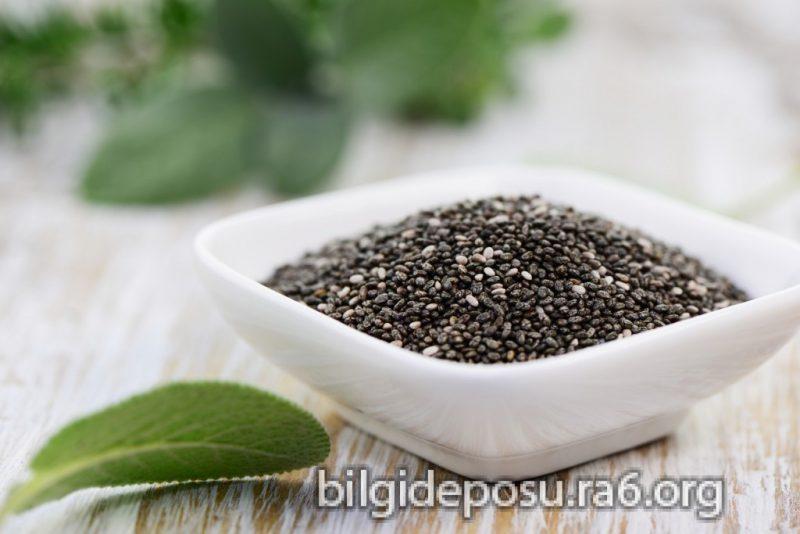chia tohumu nasil kullanilir - Bilgideposu
