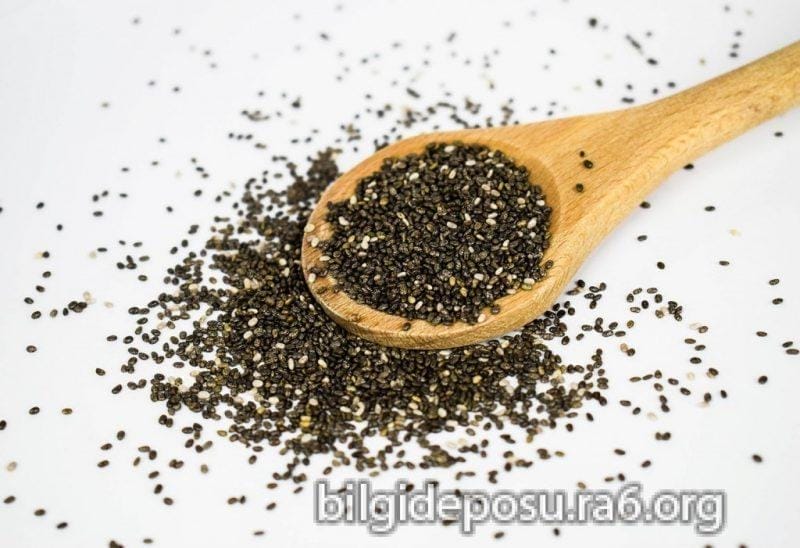 chia tohumu nedir - Bilgideposu