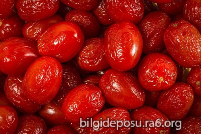 goji berry zayiflatir mi - Bilgideposu