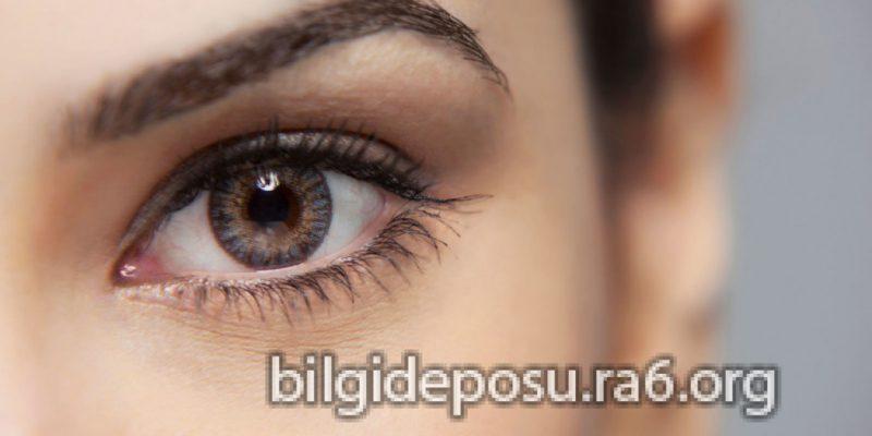 gozsegirmesi18061603 - Bilgideposu