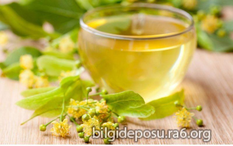 gribe ne iyi gelir - Bilgideposu