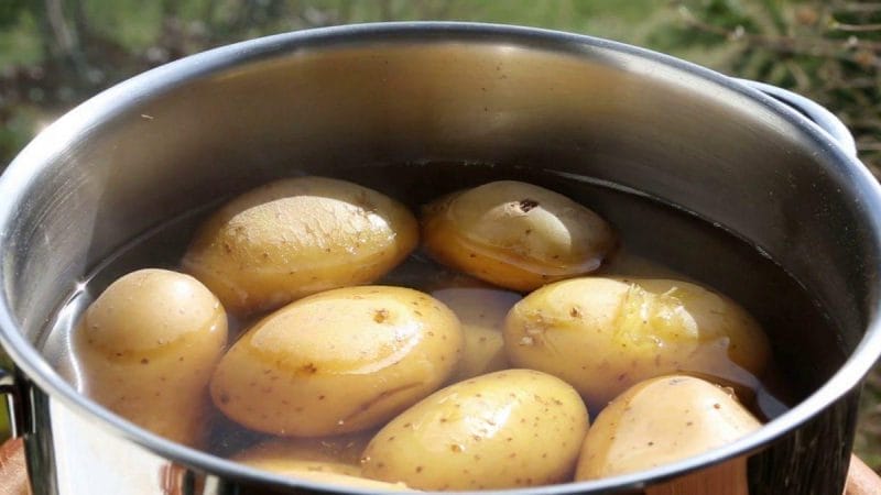 Hızlı Kilo Verme Diyeti-Patates Diyeti