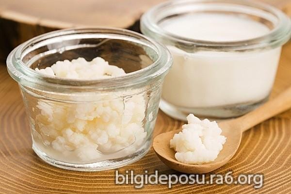 kefir mucizesi kefirin faydalari - Bilgideposu