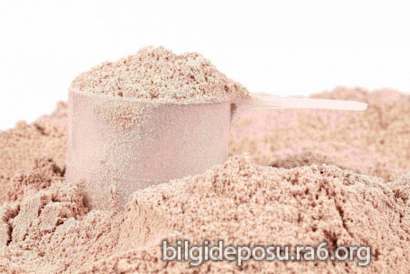 protein tozu zararlari - Bilgideposu