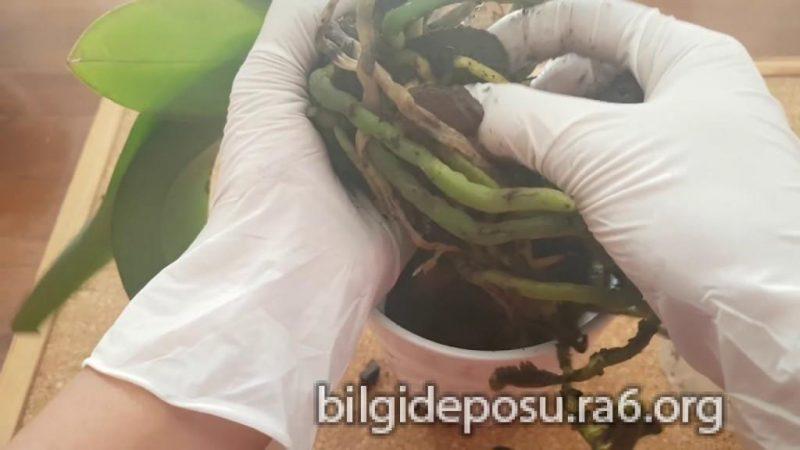 saksi degistirme islemi - Bilgideposu