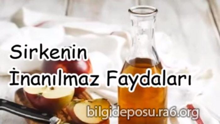 sirkenin faydalari - Bilgideposu