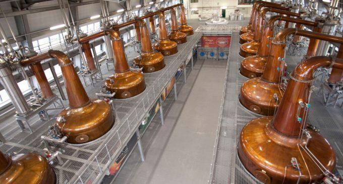 Viski yapımı - Viski Fabrikası - Viski Mayalama