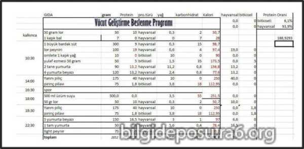 Vücut geliştirici beslenme programı ve diyet listesi