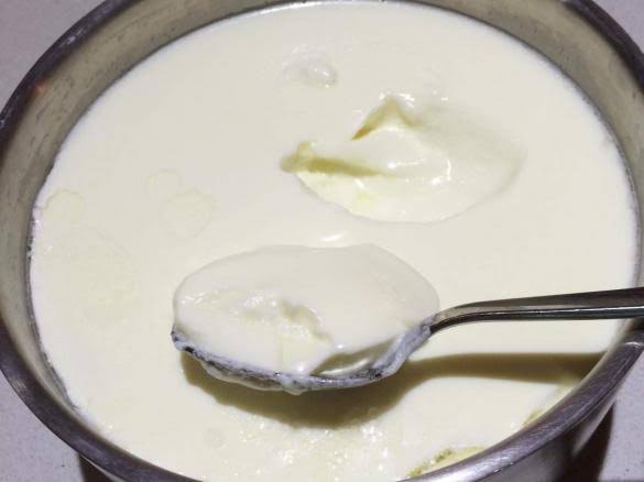 yogurt bagirsak sagligi yogurdun faydalari - Bilgideposu