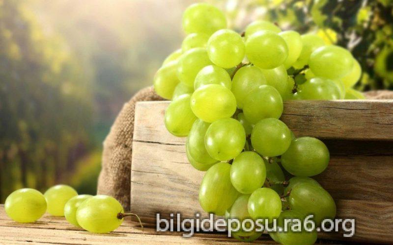 zeka gelistiren meyveler - Bilgideposu