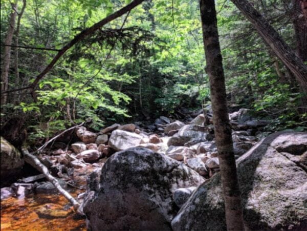 Crawford Notch State Park Campground - Campgrounds in New Hampshire