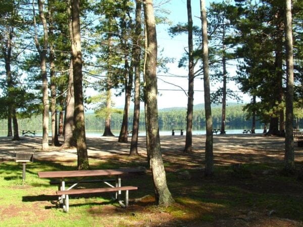 White Lake State Park - Campgrouns in New Hampshire