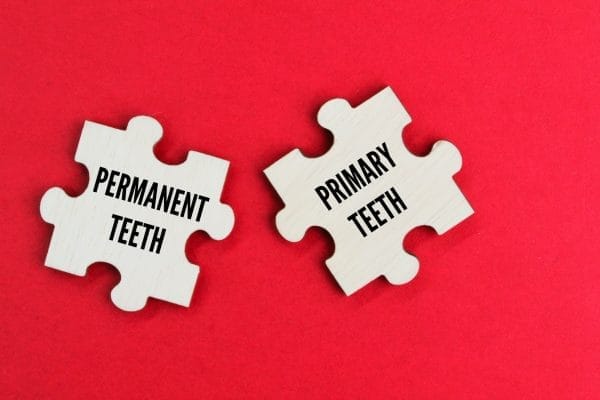 Permanent teeth