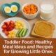 Toddler Food: Healthy Meal Ideas And Recipes For Growing Little Ones 12 Toddler food ideas with healthy meals, sweet potato, fruit, and milk for little ones at home