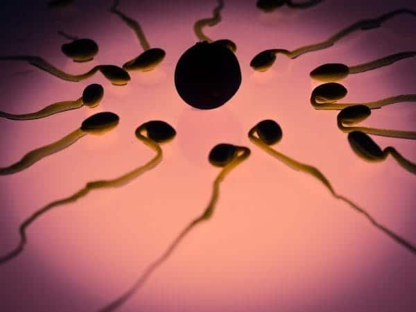 Donor Insemination: Get Pregnant With A Sperm Donor 1 Donor insemination: get pregnant with a sperm donor