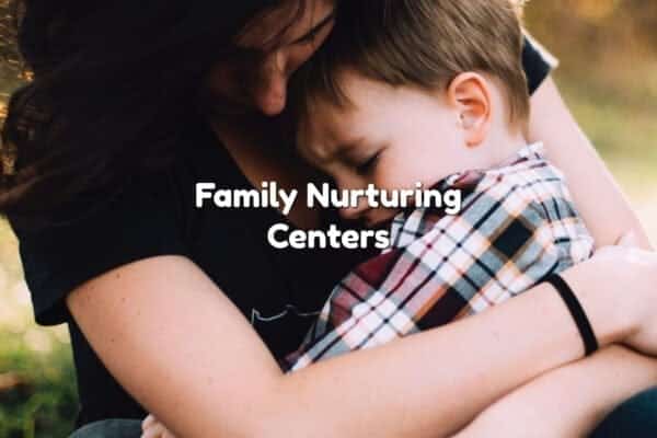 Family Nurturing Centers In The United States: Empowering Families 1 Family nurturing centers