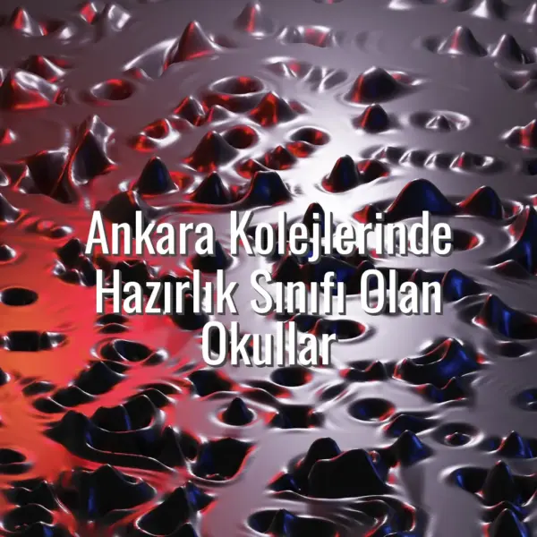 Ankara Kolejlerinde Hazırlık Sınıfı Olan Okullar - Ankara kolejleri hazırlık sınıfı