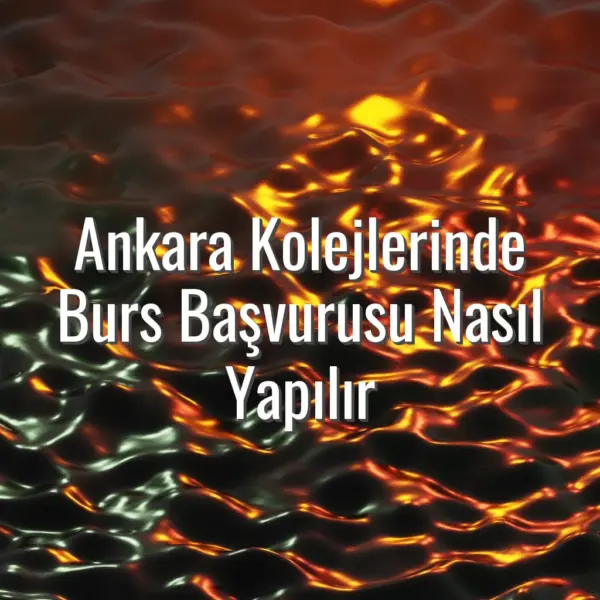 Ankara Kolejlerinde Burs Başvurusu Nasıl Yapılır - Ankara Kolejlerinde burs başvurusu