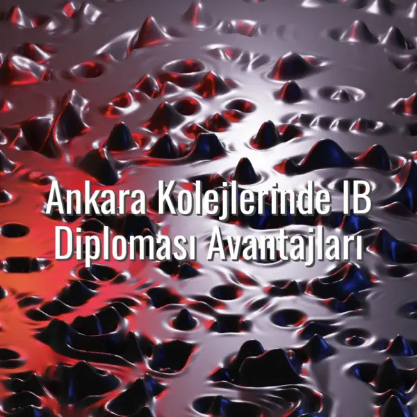 Ankara Kolejlerinde IB Diploması Avantajları - Ankara kolejlerinde IB diploma
