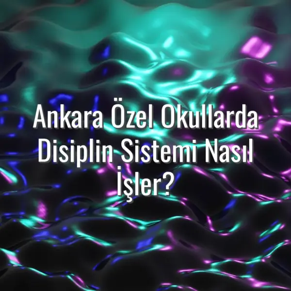 Ankara Özel Okullarda Disiplin Sistemi Nasıl İşler? - ankara özel okullarda disiplin