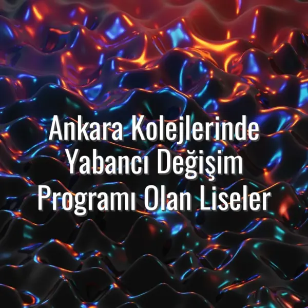 Ankara Kolejlerinde Yabancı Değişim Programı Olan Liseler - Ankara kolej değişim programı